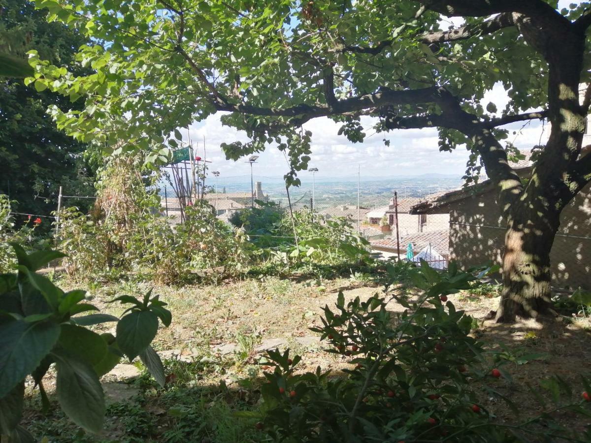 Orto Di Emma Leilighet San Gimignano Eksteriør bilde